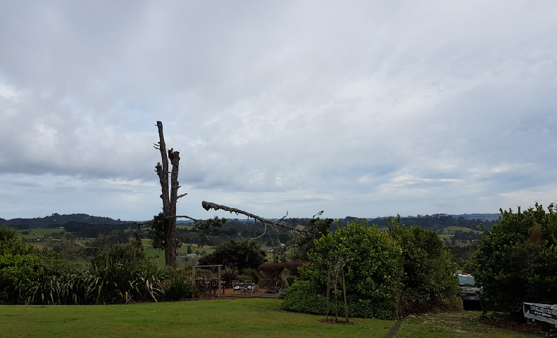 Affordable & Reliable in Auckland Arborists HARDFELL